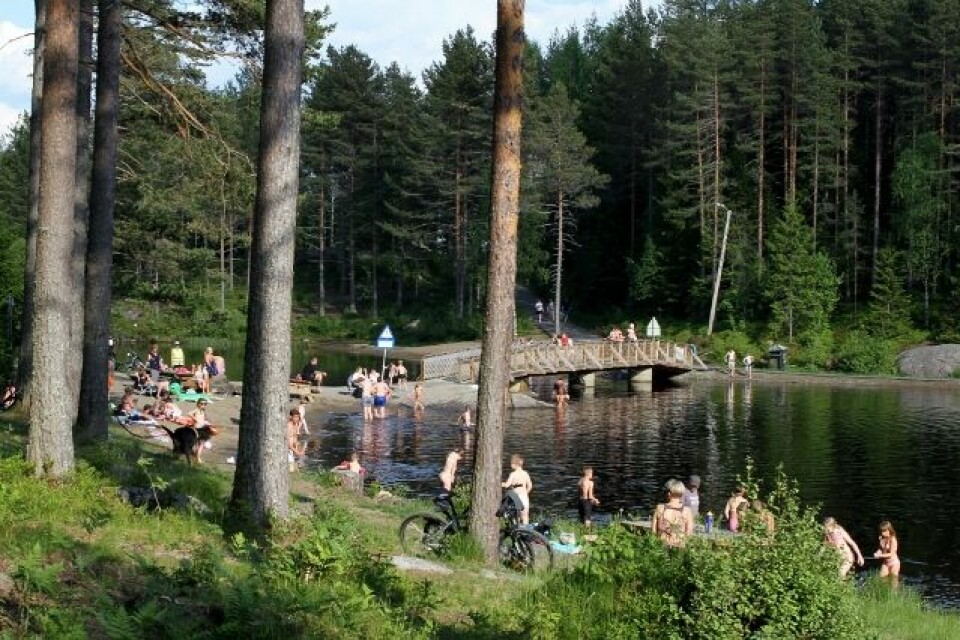 Elin Sjaastad og Matthew Speake vant Gjerdrumsløpet IMG_0118_Lysdammen_badeliv (640x426).jpg