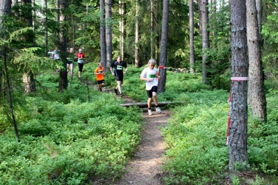 Elin Sjaastad og Matthew Speake vant Gjerdrumsløpet IMG_0261_Ane_Svee_4km (640x427).jpg