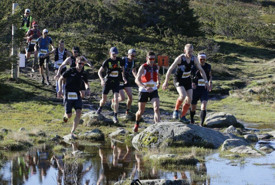 Alle reportasjene fra Birken Løpefestival UltraBirken 2019