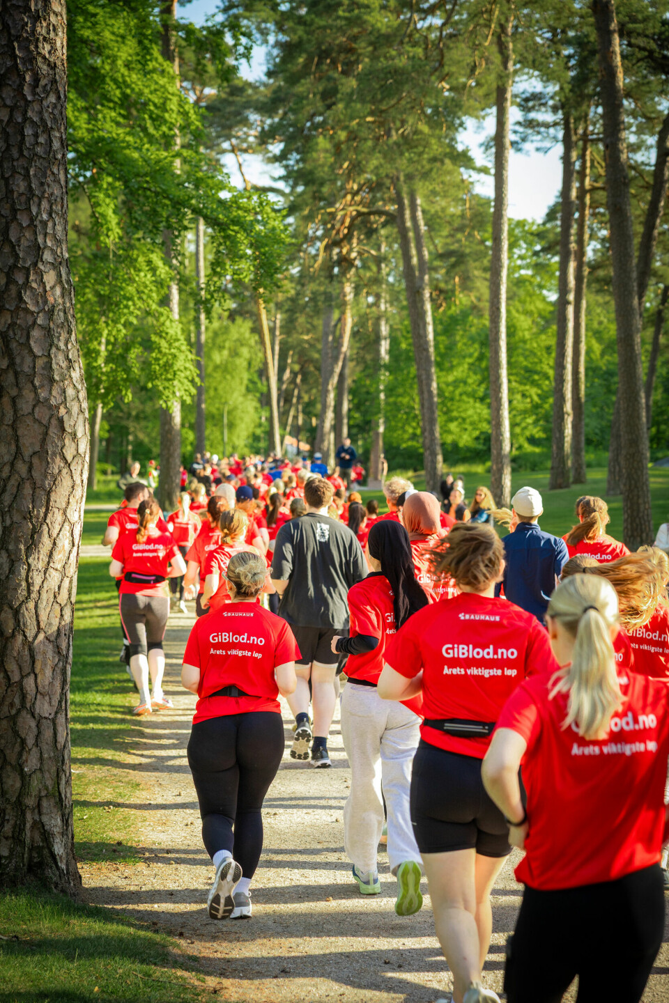 Blodomløpet ble arrangert i Kulåsparken i Sarpsborg. (Foto: Marion Eilertsen Mossing - kommunikasjonsavd. Sykehuset Østfold)