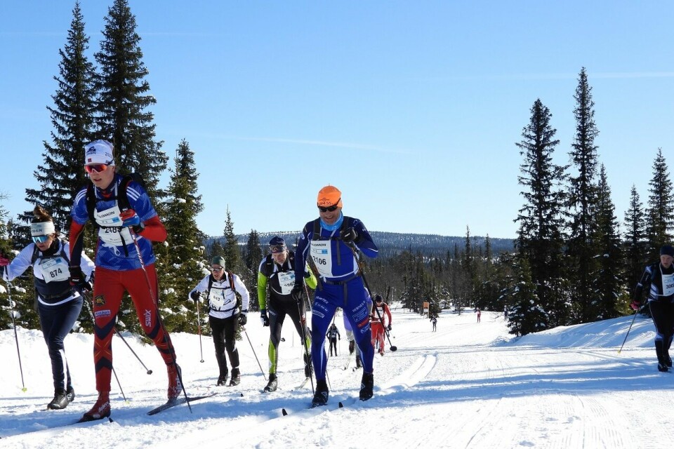 Det sies at Birken starter ved Kvarstad, og undertegnede var ved godt mot i den tøffe stigningen i årets renn. (Foto: Stein Arne Negård) Det sies at Birken starter ved Kvarstad, og undertegnede var ved godt mot i den tøffe stigningen i årets renn. (Foto: Stein Arne Negård)