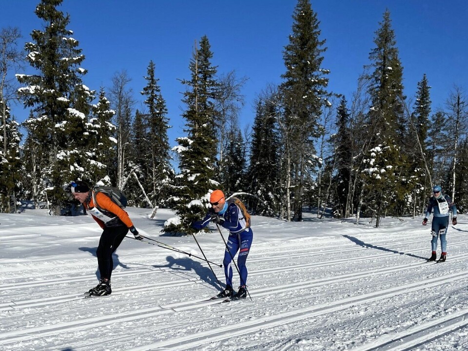 Birken har blitt mer komfortabel