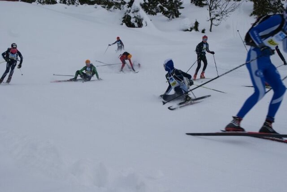 UngdomsBirken holder bra stand til tross for økt konkurranse Mannefall (640x428).jpg