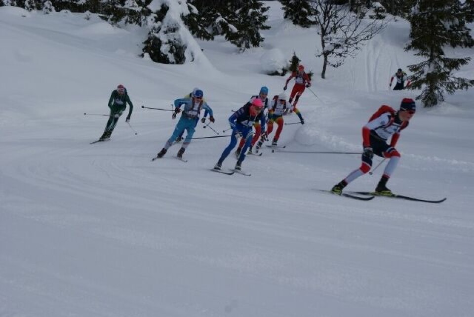 UngdomsBirken holder bra stand til tross for økt konkurranse Teten_G16_11km_før_mål (640x428).jpg