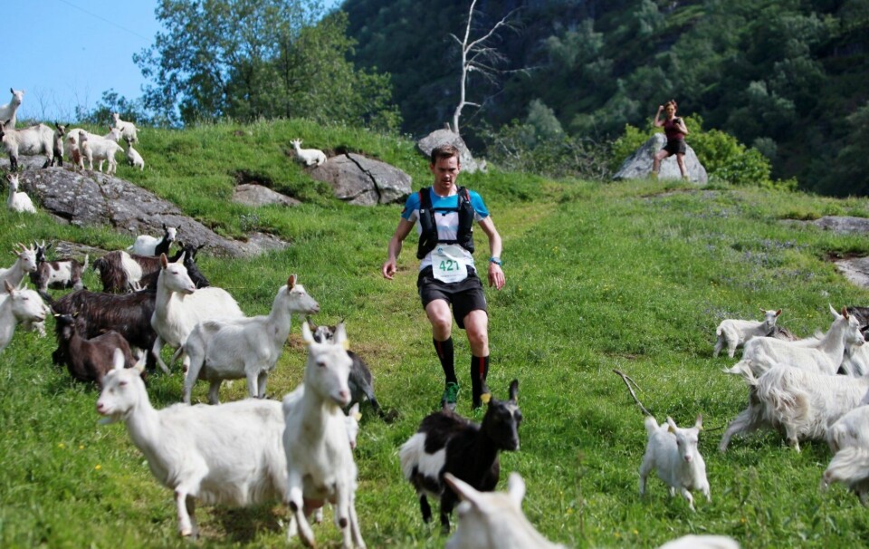 Kilian Jornet satte løyperekord i Nibbeløpet Vegard_Fredheim.jpg