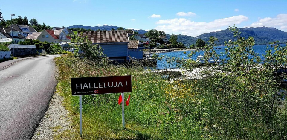 Fredrik Askeland og Mari Mauland vant Lysefjorden Rundt Extreme Ultra Trail Hallelujah.jpg