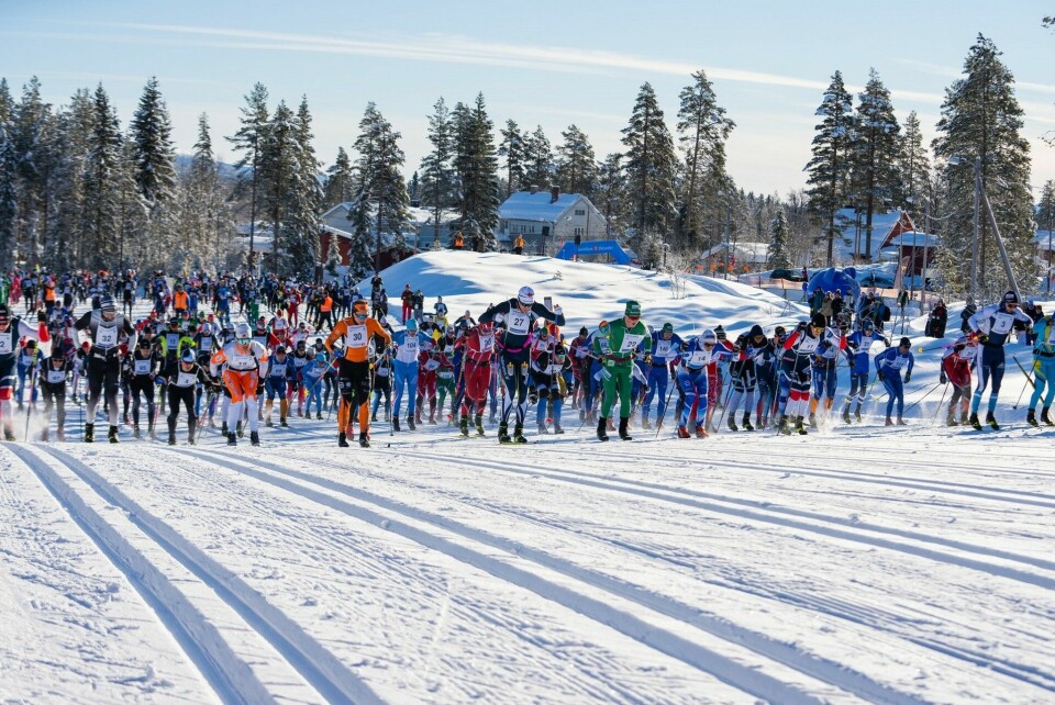 Fra starten for første pulje i Trysil Skimaraton i 2022. (Foto: Jonas Sjögren) Fra starten for første pulje i Trysil Skimaraton i 2022. (Foto: Jonas Sjögren)