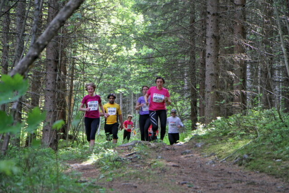 760 fullførte HalvBirken
