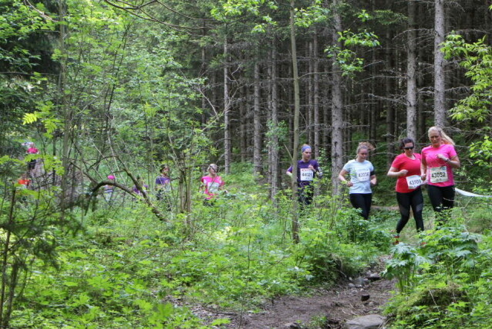 760 fullførte HalvBirken