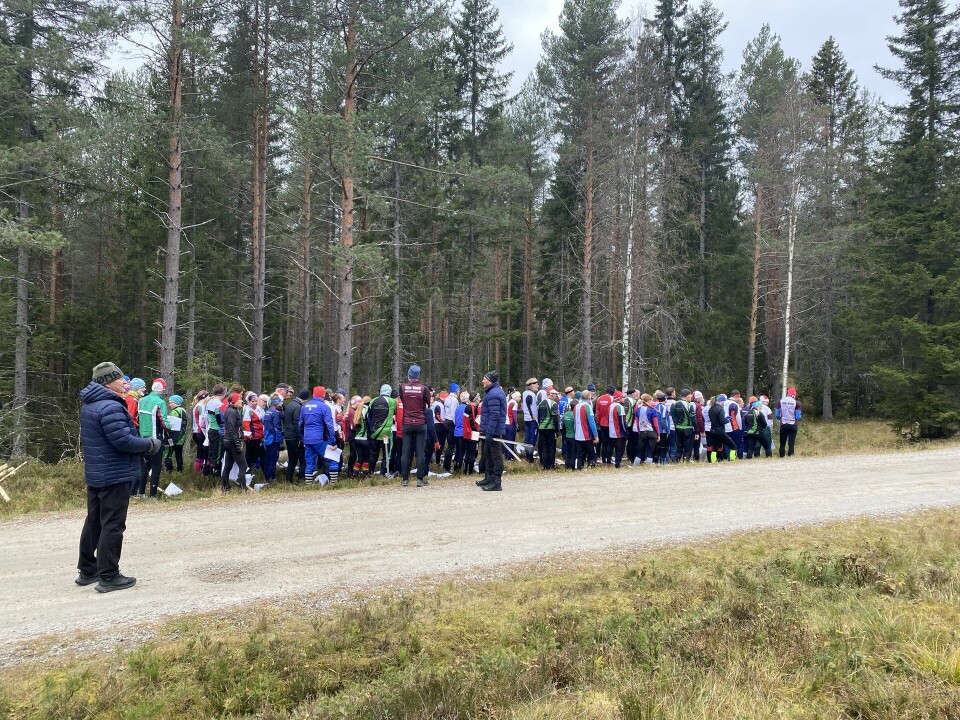 Huldertrampen rundt Rokosjøen i Løten