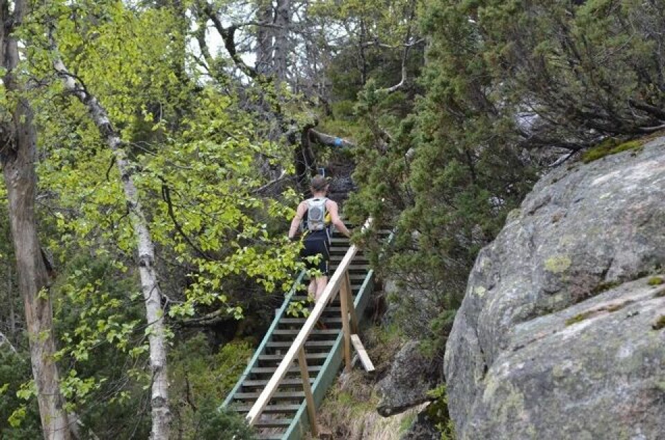 Øyunn Bygstad og Jørn Hjørungnes vant Skuggenatten 12-timars 25-Even Nedberg opp Mjølksyretrappa. Ikke så lang, men det kjennes. (640x424).jpg