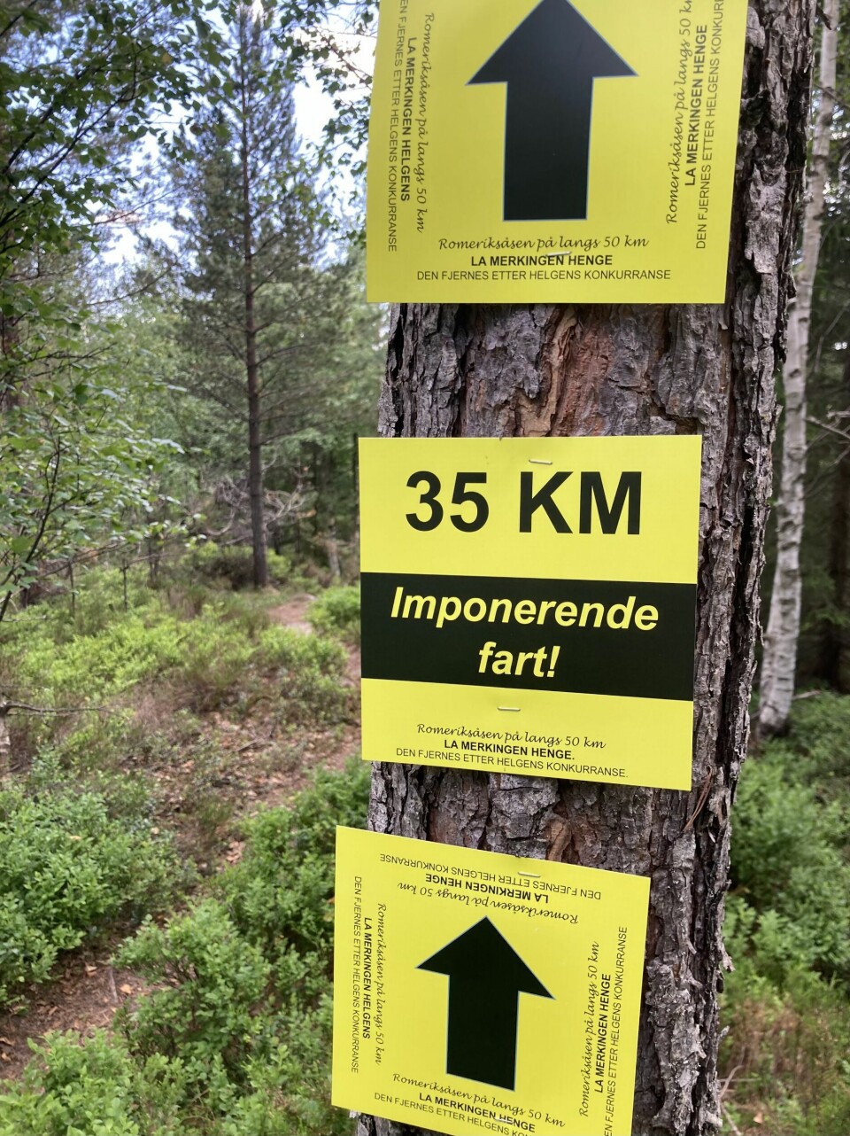 Mads Berge og Mathilde Ilebrekke raskest av 237 løpere i Romeriksåsen på langs IMG_3273.jpg