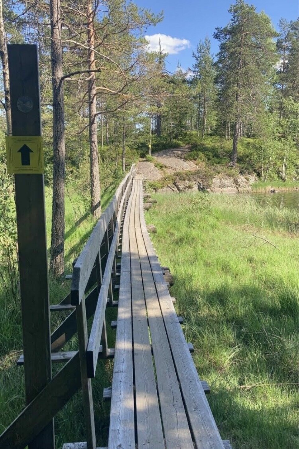 Mads Berge og Mathilde Ilebrekke raskest av 237 løpere i Romeriksåsen på langs IMG_3278.jpg