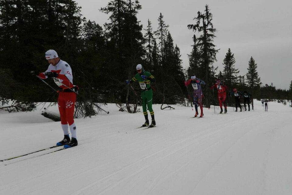 Budorrennet (2)