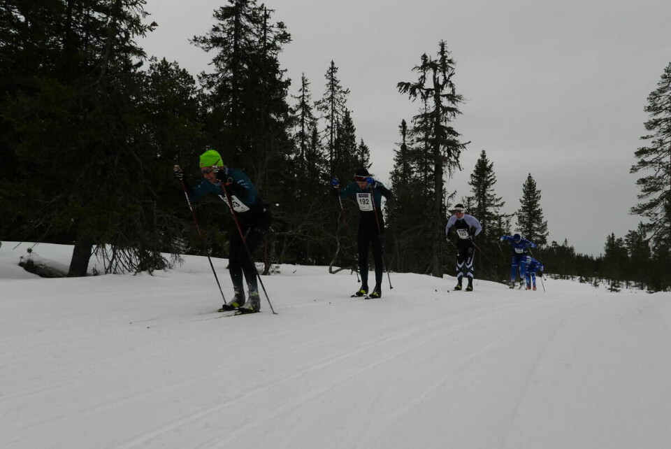 Budorrennet (6)