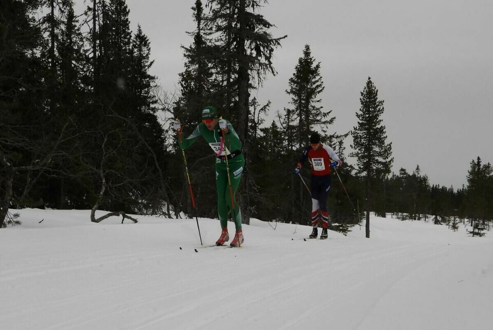 Budorrennet (7)