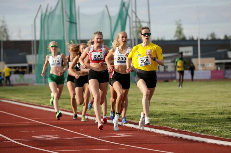 Silje_Fjørtoft_hare