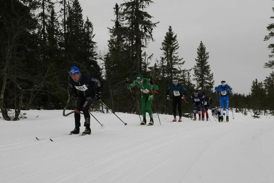 Budorrennet (9)