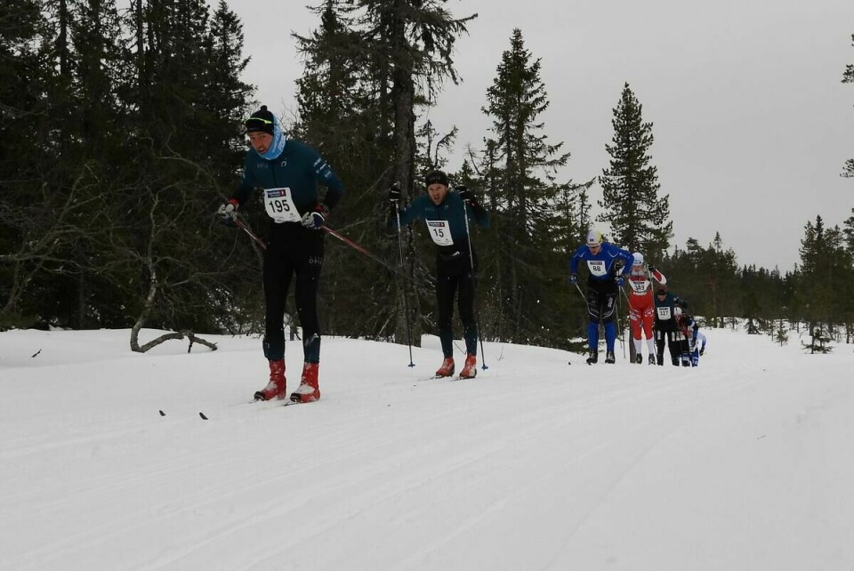 Budorrennet (12)