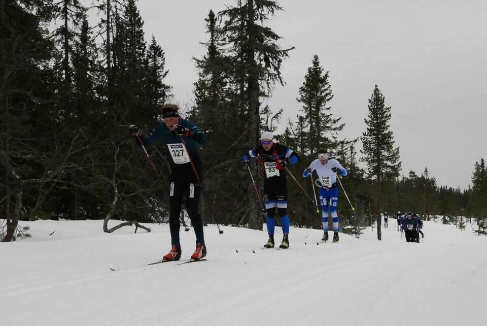 Budorrennet (13)