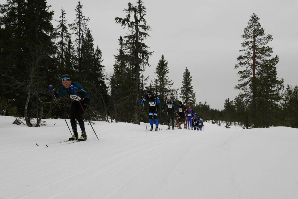Budorrennet (14)
