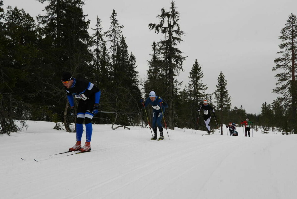Budorrennet (16)