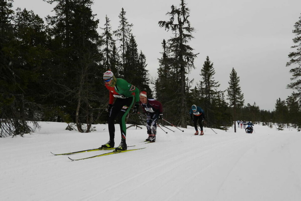 Budorrennet (17)