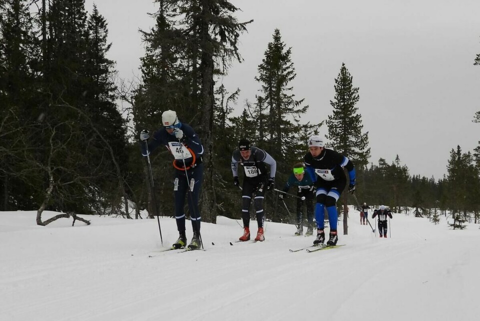 Budorrennet (24)