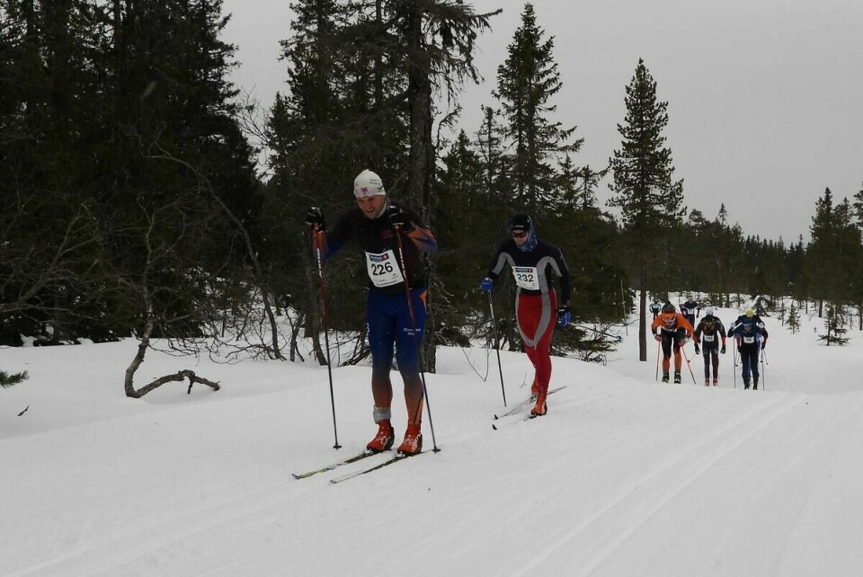 Budorrennet (26)