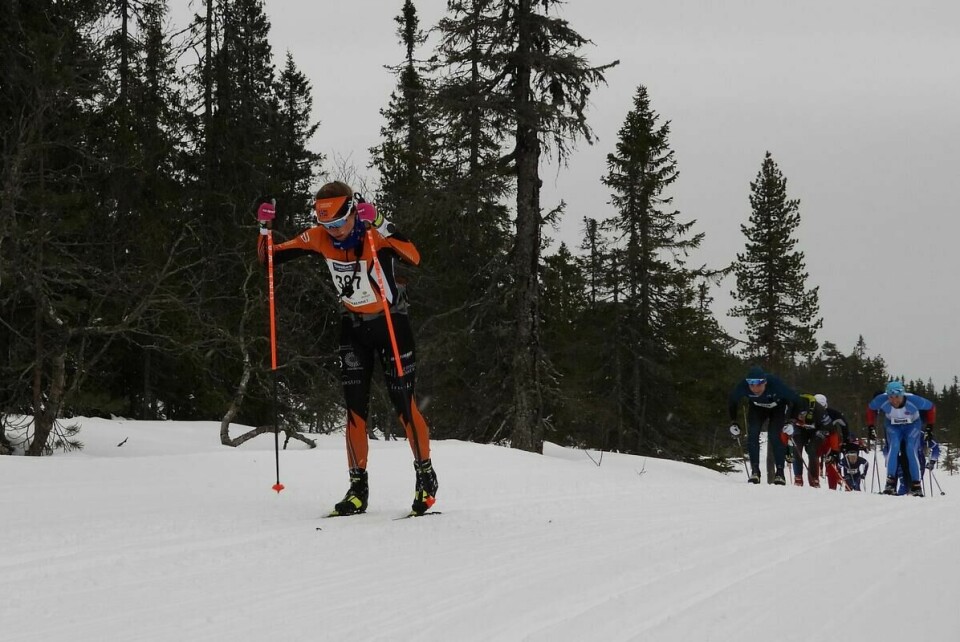 Budorrennet (27)