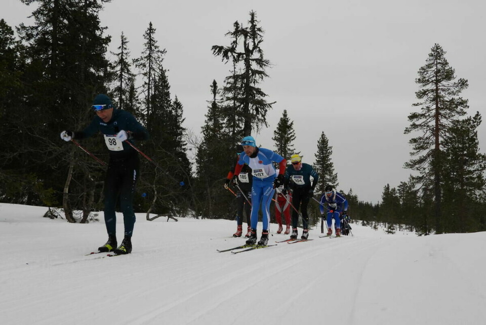Budorrennet (28)