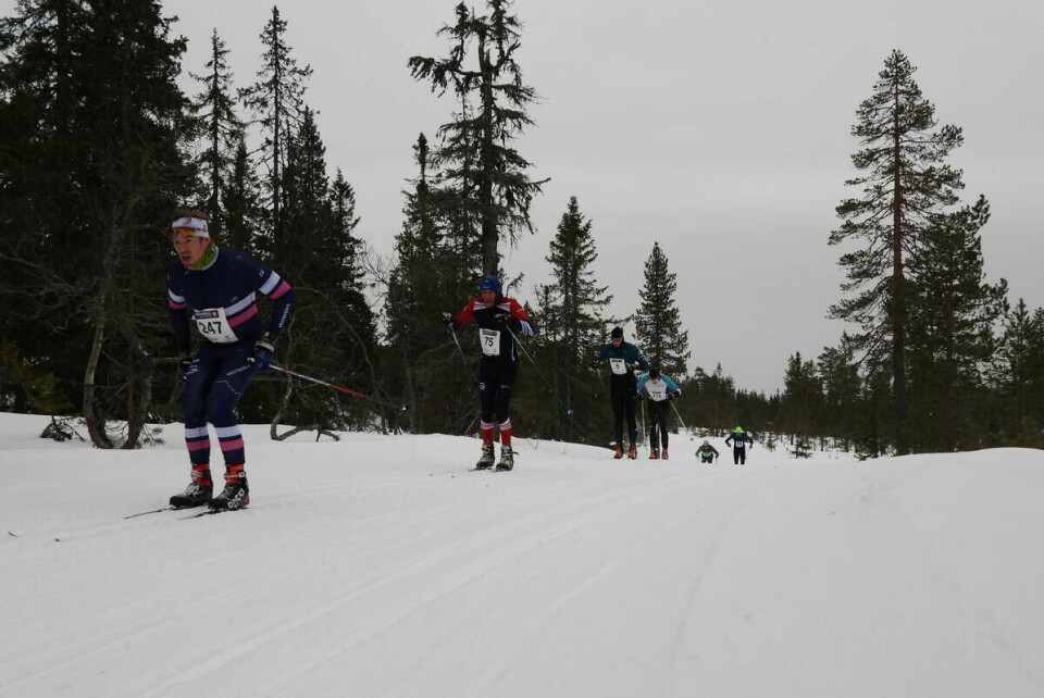 Budorrennet (29)