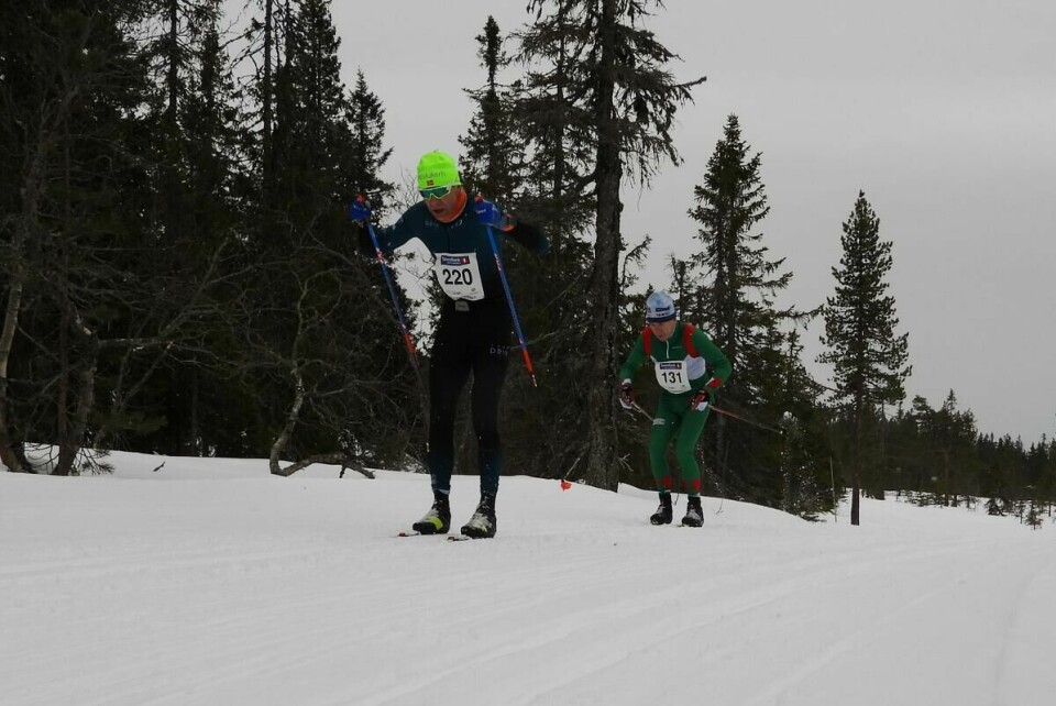 Budorrennet (30)