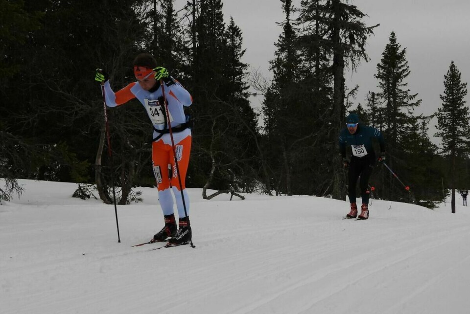 Budorrennet (31)