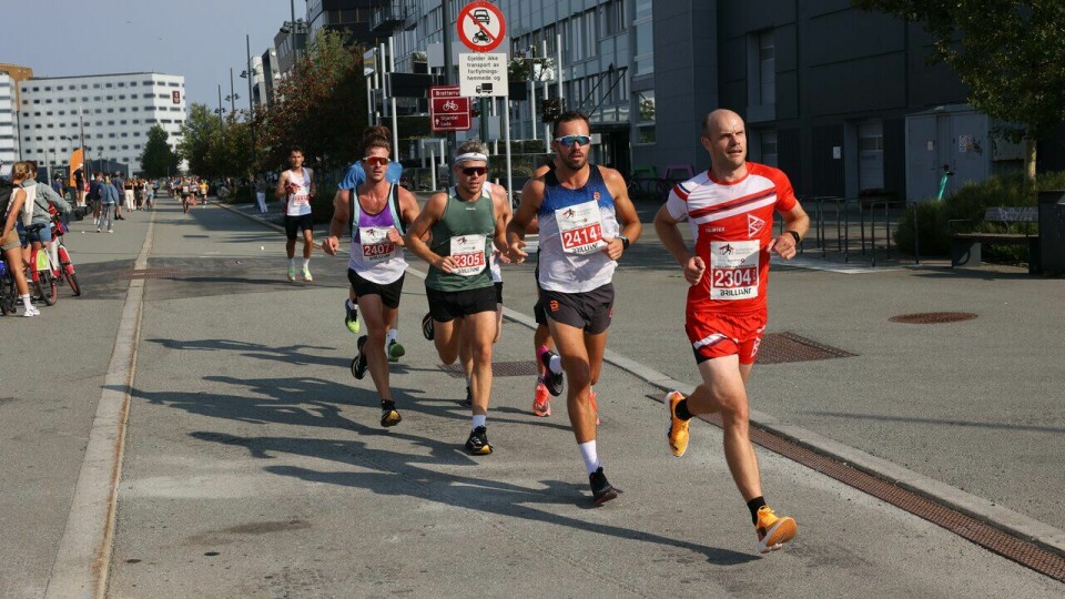 Halvmaraton under Trondheim Maraton