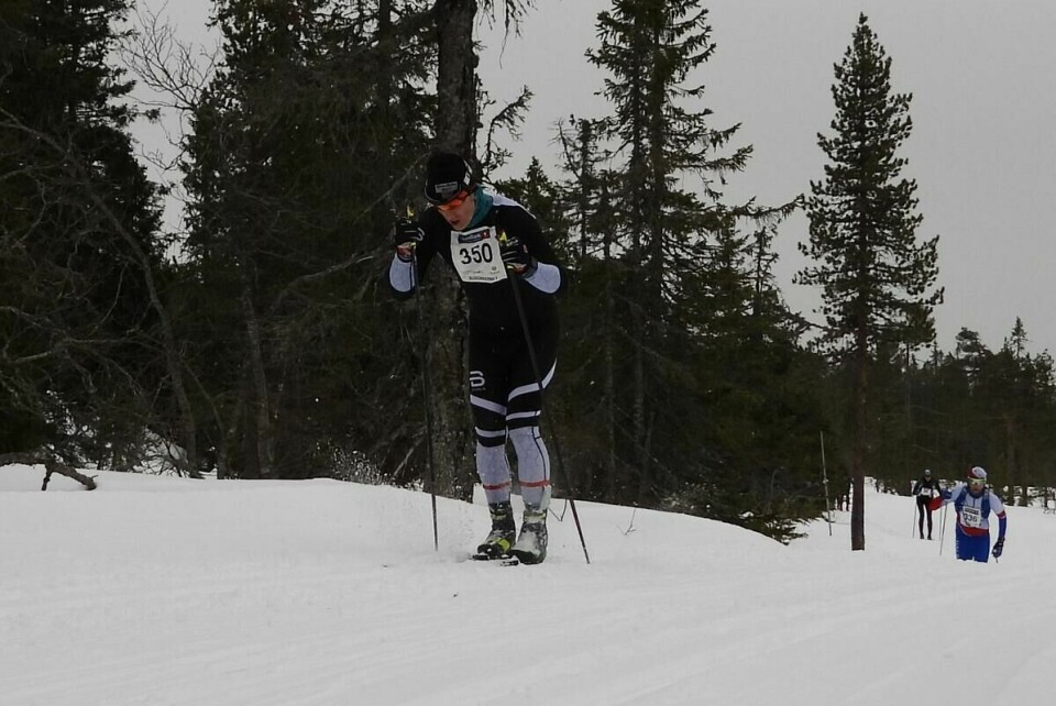 Budorrennet (33)