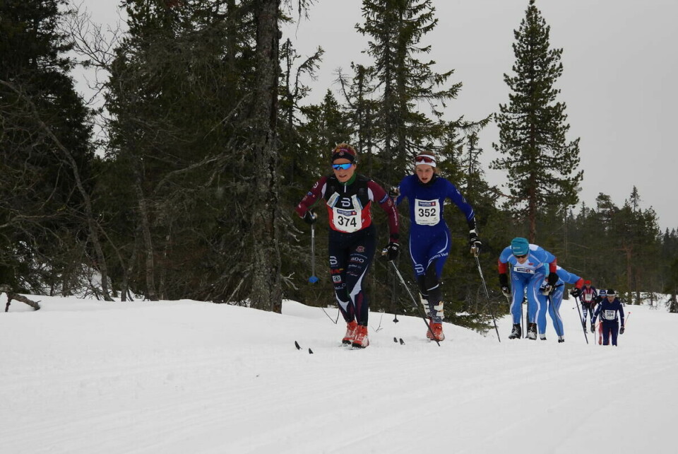 Budorrennet (39)