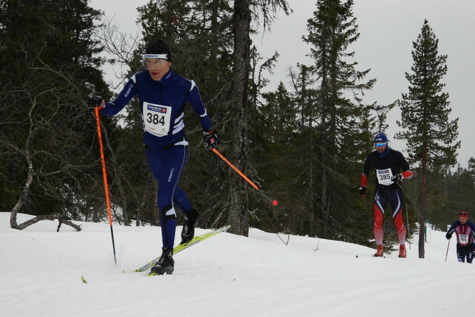 Budorrennet (41)