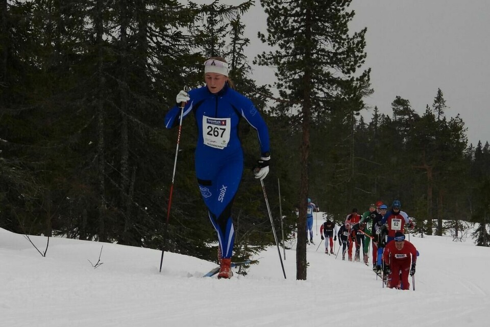 Budorrennet (44)