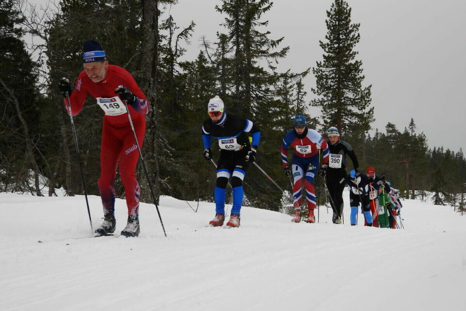 Budorrennet (45)