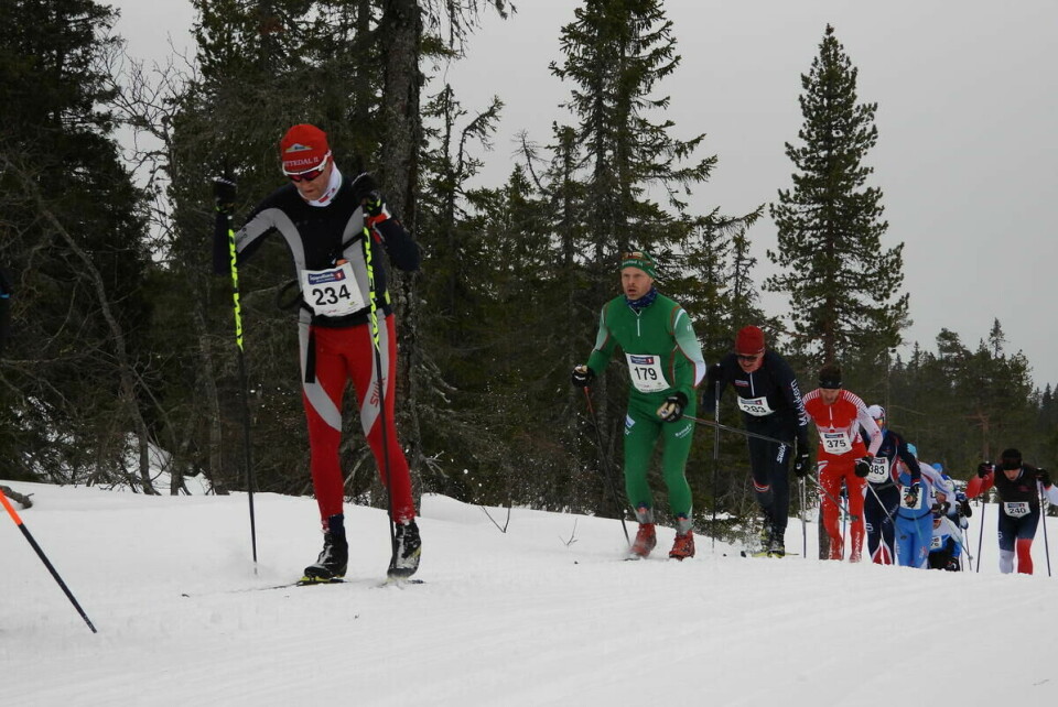 Budorrennet (46)