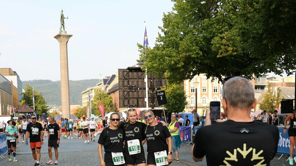 Maratondistansen under Trondheim Maraton 2024