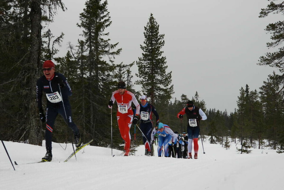 Budorrennet (47)