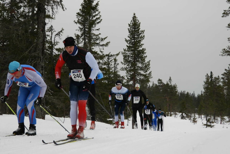Budorrennet (48)