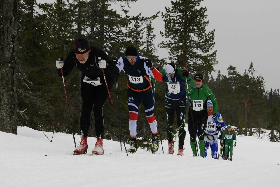 Budorrennet (50)