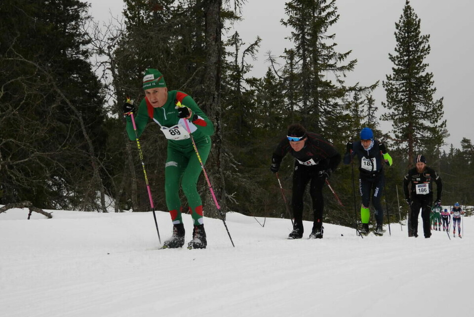 Budorrennet (51)