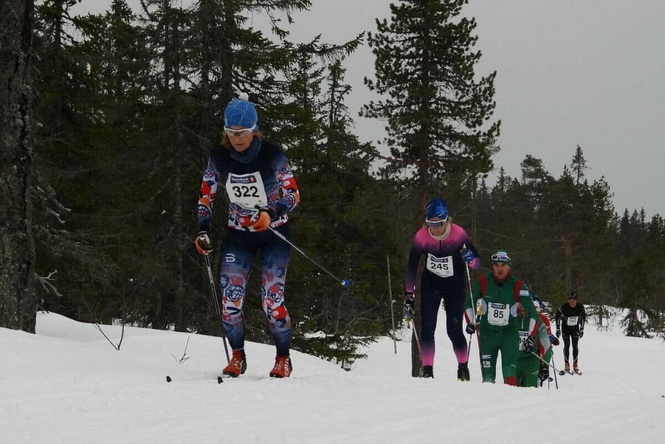 Budorrennet (52)