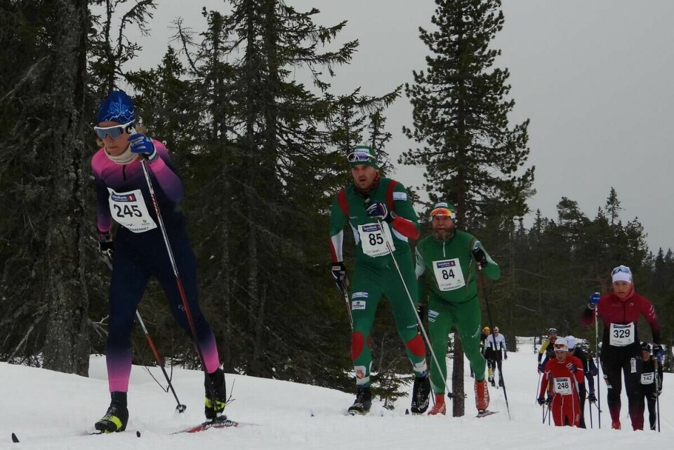 Budorrennet (53)