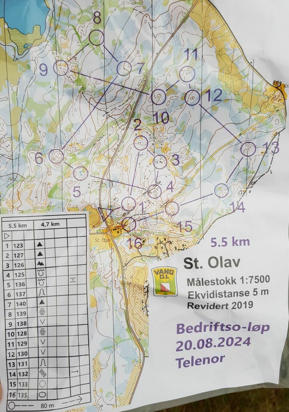 Høstlig bedrift o-løp fra St. Olav i Vangsåsen