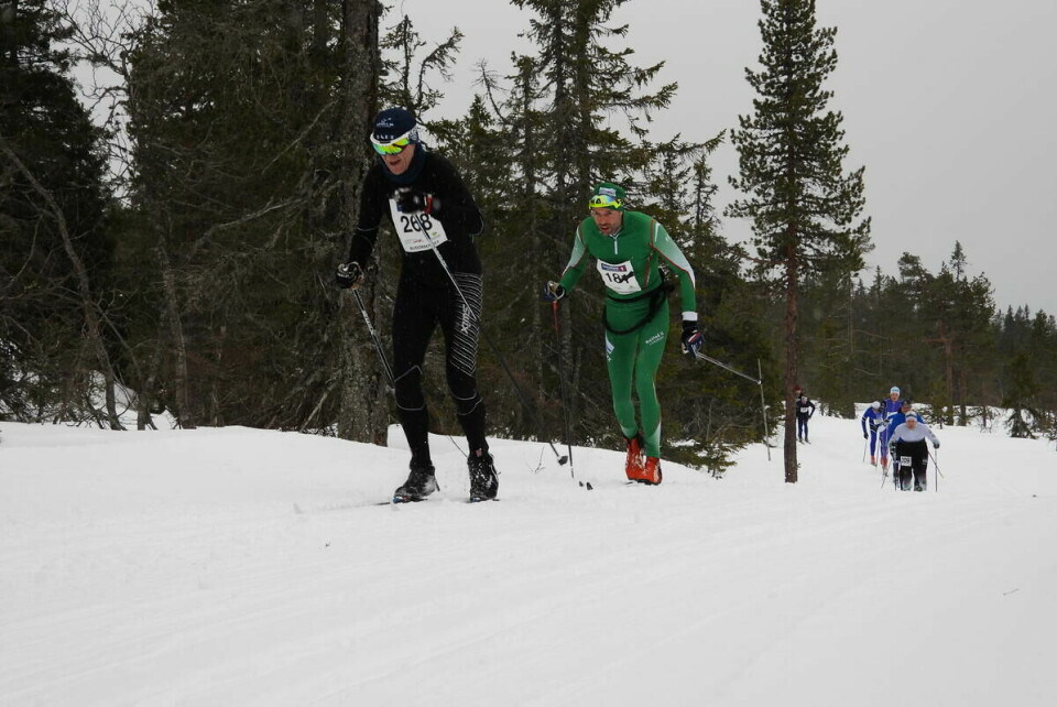 Budorrennet (57)